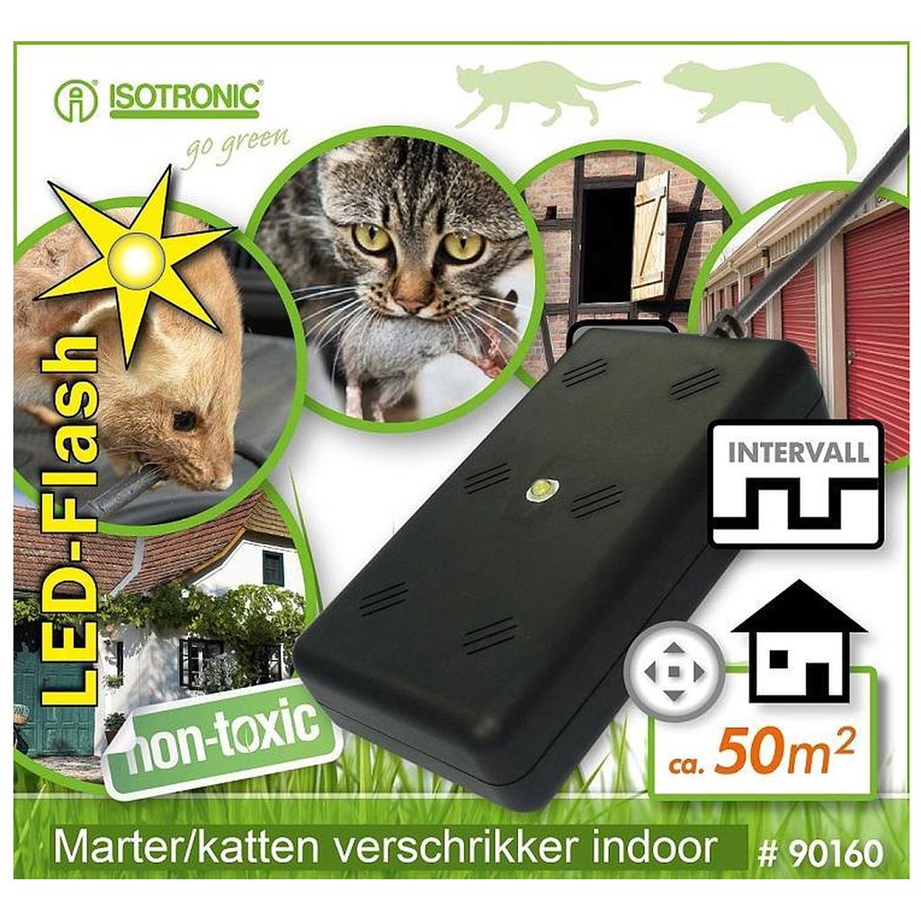 ANTI MARTRES intérieur pour la maison 220 VOLT