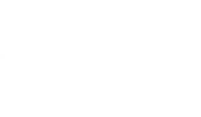 Sena International